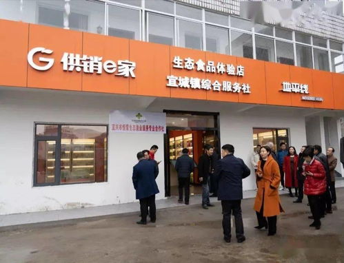 六月，开启一场蓝莓的采摘之旅 投资兴办实业的田园机遇